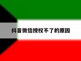 抖音微信授权不了的原因