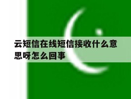 云短信在线短信接收什么意思呀怎么回事