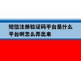 短信注册验证码平台是什么平台啊怎么弄出来