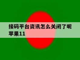 接码平台资讯怎么关闭了呢苹果11