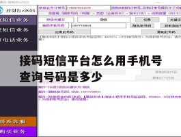接码短信平台怎么用手机号查询号码是多少