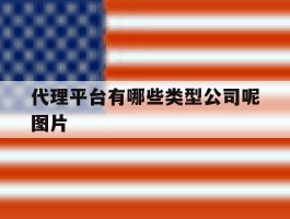 代理平台有哪些类型公司呢图片