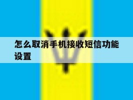 怎么取消手机接收短信功能设置