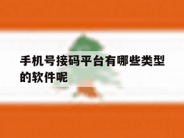 手机号接码平台有哪些类型的软件呢