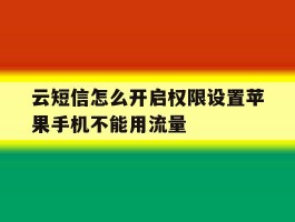 云短信怎么开启权限设置苹果手机不能用流量的简单介绍