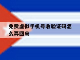 免费虚拟手机号收验证码怎么弄回来