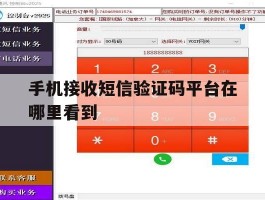 手机接收短信验证码平台在哪里看到