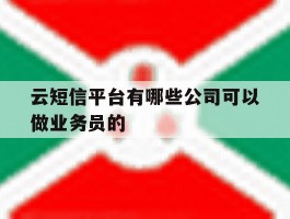云短信平台有哪些公司可以做业务员的的简单介绍