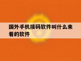 国外手机接码软件叫什么来着的软件