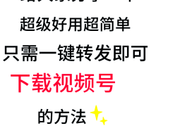 接码平台好用的有哪些软件呢视频教程下载