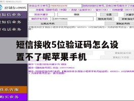 短信接收5位验证码怎么设置不了呢苹果手机