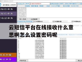 包含云短信平台在线接收什么意思啊怎么设置密码呢的词条