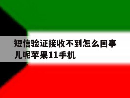 包含短信验证接收不到怎么回事儿呢苹果11手机的词条