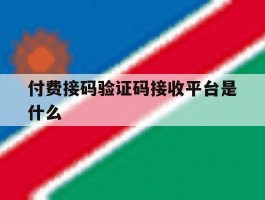付费接码验证码接收平台是什么