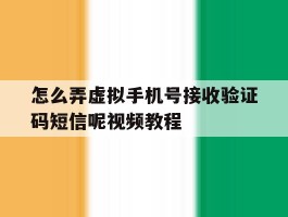 怎么弄虚拟手机号接收验证码短信呢视频教程
