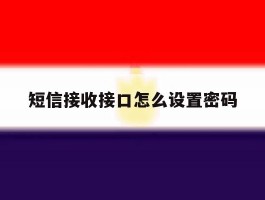 短信接收接口怎么设置密码