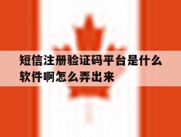短信注册验证码平台是什么软件啊怎么弄出来