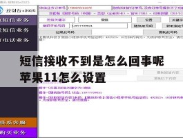 短信接收不到是怎么回事呢苹果11怎么设置