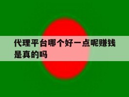代理平台哪个好一点呢赚钱是真的吗