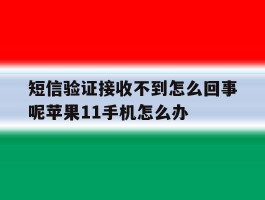短信验证接收不到怎么回事呢苹果11手机怎么办的简单介绍