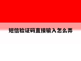 短信验证码直接输入怎么弄