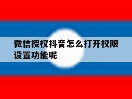 微信授权抖音怎么打开权限设置功能呢