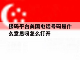 接码平台美国电话号码是什么意思呀怎么打开的简单介绍