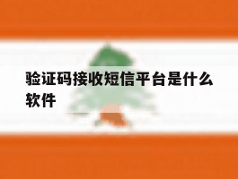 验证码接收短信平台是什么软件