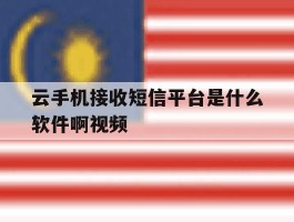 云手机接收短信平台是什么软件啊视频