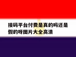 接码平台付费是真的吗还是假的呀图片大全高清的简单介绍
