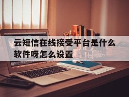 云短信在线接受平台是什么软件呀怎么设置