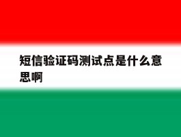 短信验证码测试点是什么意思啊