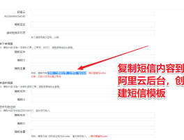 短信云短信在线接收什么意思呀怎么设置