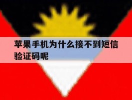 苹果手机为什么接不到短信验证码呢