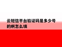 云短信平台验证码是多少号的啊怎么填