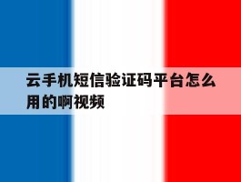 云手机短信验证码平台怎么用的啊视频