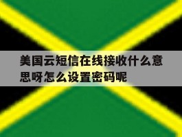 包含美国云短信在线接收什么意思呀怎么设置密码呢的词条