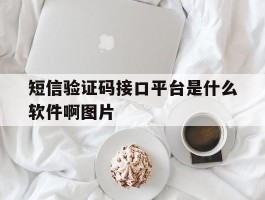 关于短信验证码接口平台是什么软件啊图片的信息