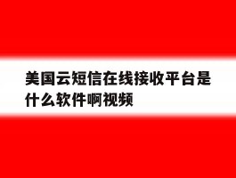 美国云短信在线接收平台是什么软件啊视频