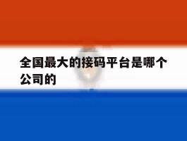 全国最大的接码平台是哪个公司的