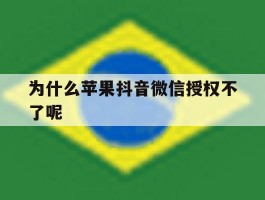 为什么苹果抖音微信授权不了呢