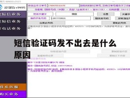 短信验证码发不出去是什么原因