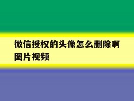 微信授权的头像怎么删除啊图片视频