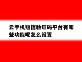 云手机短信验证码平台有哪些功能呢怎么设置