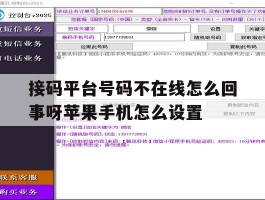接码平台号码不在线怎么回事呀苹果手机怎么设置的简单介绍