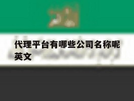 代理平台有哪些公司名称呢英文