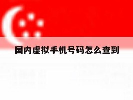 国内虚拟手机号码怎么查到