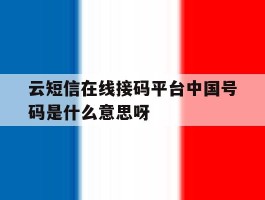 包含云短信在线接码平台中国号码是什么意思呀的词条