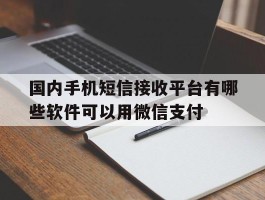 国内手机短信接收平台有哪些软件可以用微信支付的简单介绍