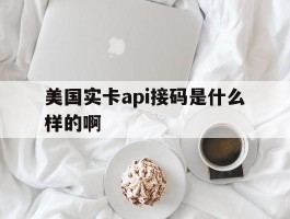 美国实卡api接码是什么样的啊